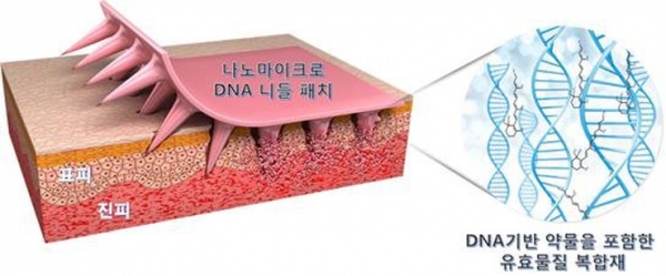 나노마이크로 DNA 니들 패치의 DNA 및 약물을 포함한 유효물질 체내 전달 원리