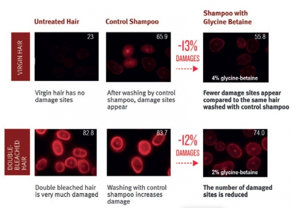 Fig.3 Mean fluorescence intensity (a.u.) and pictures of hair cortex before and after shampoo washing