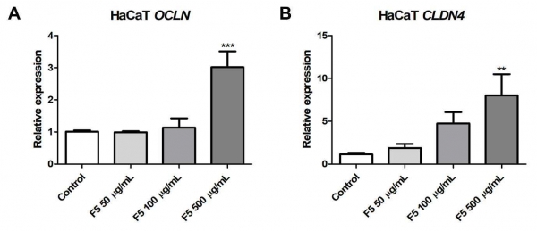그림 1. 비피토박테리움 롱검 ATG-F5 균주가 피부장벽강화 기능과 관련된 Occludin(OCLN)과 Claudin 4(CLDN 4)의 유전자 발현을 증가시키는 효능을 확인한 결과. 자료출처=특허청