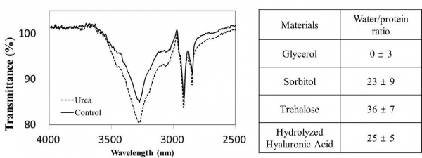 그림 3. (왼쪽)대조군과 우레아가 처리된 각질 부위의 FT-IR Peak, (오른쪽)다른 OCAs의 Water/protein 비율.