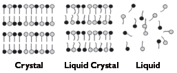 그림 1. 고체, 액정, 액체의 분자 배열도 모식도.