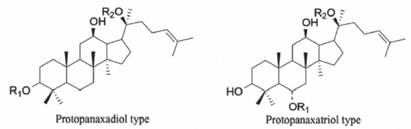 그림 6. Structural formulas of ginsenosides in ginseng 14)