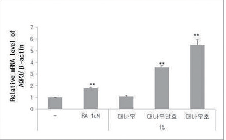 그림 2. 대나무 추출물, 대나무 발효물, 대나무 초산 발효물을 각각 1.0%처리한 경우 아쿠아포린 3 발현양을 비교한 결과.
