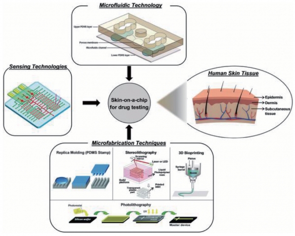 그림 4. 인체 피부를 모방한 장기 칩 모델 개발(skin-on-a-chip models):(Microphysiologic system 2018;11:2-10).