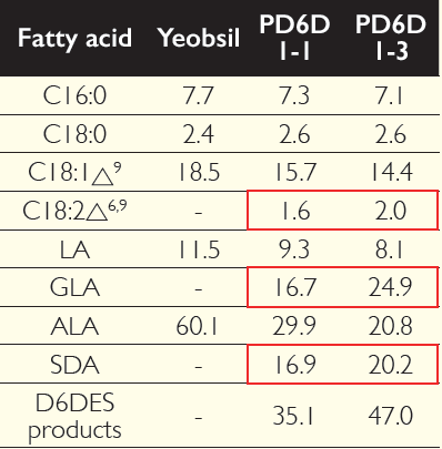 델타6불포화효소 유지작물 종자의 지방산 조성표=생성량은 감마리놀렌산이 25%, 스테아리돈산은 20% 함량임을 알 수 있음.
