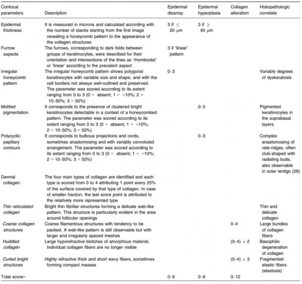 표 4. Confocal descriptors and corresponding histopathologic correlates (Skin Research and Technology 2012; 0: 1–7)