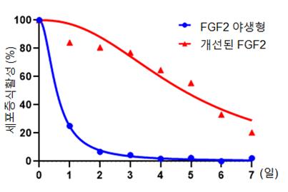 【가혹 조건(45℃)에서 활성 비교】FGF2는 세포성장인자이므로 생리활성은 세포 증식으로 측정하게 되는데 가혹조건(45℃)에서 활성이 장시간 유지되면 공정 과정과 보관 과정에서도 활성이 유지되어 향장 소재로서 활용가치가 높아진다.  FGF2 야생형 (파란색)은 45℃ 보관 시 잔여 세포증식활성 50% 가 되는 시점은 0.5일인 반면, 개선된 FGF2 (붉은색)는 약 4.8일 정도까지 9.6배 연장된다.  ⓒ한국해양과학기술원