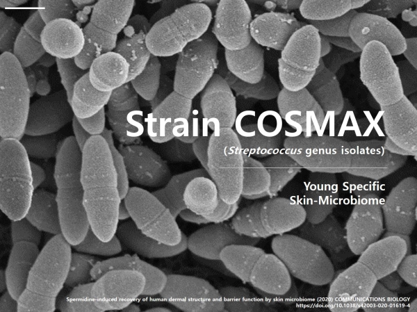 Strain-COSMAX 100000x배율 SEM(주사 현미경) ⓒ코스맥스