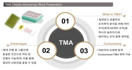 그림 2. 조직미세배열(Tissue microarray:TMA) 시스템
