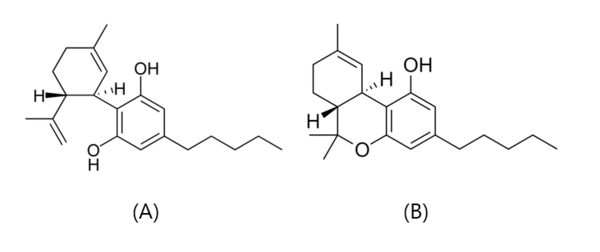 그림 1. The chemical structures of cannabidiol and ∆9-tetrahydrocannabinol. (A : CBD, B : THC)