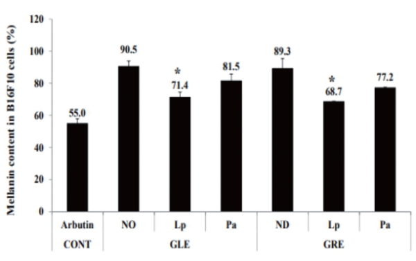 그림 2. 멜라닌 억제 활성을 통한 미백 효과 분석. B16-F10 세포의 멜라닌 생성량에 미치는 영향을 분석하기 위해 해방풍 잎과 뿌리 추출물과 발효물 100ug/mL(0.1%; v/v)의 농도로 처리하고 48시간 후 확인한 결과, 해방풍 잎 추출물(GLE)은 90.5%, Lp 잎 발효물(GLE_Lp) 71.3%, Pa 잎 발효물(GLE_Pa) 81.5%로 각각 19.2 %p와 10 %p 정도 멜라닌 생성 억제 효과가 높았다. 해방풍 뿌리 추출물(GRE)의 멜라닌 억제 효능은 89.2%였으며, Lp 뿌리 발효물(GRE_Lp) 68.6%, Pa 뿌리 발효물(GRE_Pa) 77.1%로 세포 내 멜라닌 함량을 각각 20.6%p와 12.1%p 높은 멜라닌 억제 효능이 확인되었다. 해방풍 추출물 발효의 멜라닌 억제 효능은 Lp의 발효가 Pa 발효의 경우보다 활성이 높았다. 이는 멜라닌 생성에 관여하는 티로시나아제(tyrosinase) 활성을 억제하는 것으로 알려진 1%(v/v) 알부틴의 55.8% 활성과 비교할 때 Lp에 의한 해방풍 잎과 뿌리의 발효물의 멜라닌 억제 활성은 미백 소재로의 가능성을 시사한다. 결과적으로 해방풍 추출물과 비교에 있어서 Lp와 Pa 발효 모두 멜라닌 억제 효과가 확인되었으며, 뿌리의 추출물과 발효물이 조금 높은 멜라닌 억제 효과가 있는 것으로 확인되었다.