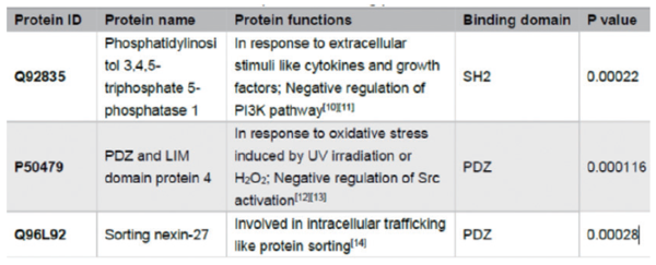 표 1. LQ-17의 3개의 포텐셜 바인딩 단백질