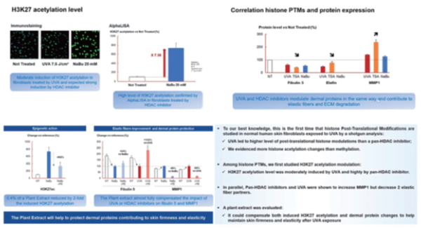 그림 3. H3K27 acetylation level, AlphaLISA, correlation histone PTMs and protein expression, effects of plan extract and conclusion
