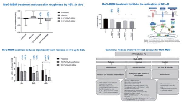 그림 5. Antiinflammatory activities of MeO-MBM and conclusion.