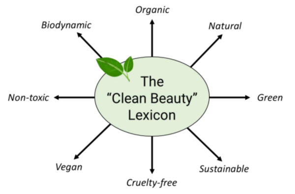 그림 2. Overview of the glossary associated with ‘clean beauty’