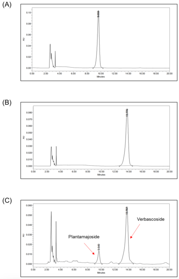 그림 1. Plantamajoside (A)와 verbascoside (B)의 표준 물질을 이용한 High performance liquid chromatography(HPLC) 크로마토그램, Plantago asiatica L. 추출물(PALE) 샘플 (C).