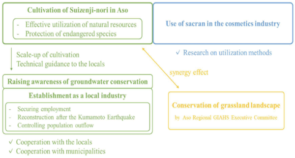그림 7. Scheme of the sustainable cultivation of Suizenji-nori in Aso area