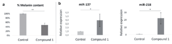 그림 2. (a) 화합물 1의 유무에 관계없이 72시간 배양 후 멜라닌 세포의 멜라닌 함량. (b) 24시간 처리 후 qPCR에 의한 멜라닌 생성 조절(miR-137 및 miR-218)