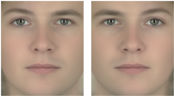 왼쪽 사진 얼굴은 왼쪽 부위가 여성, 오른쪽 부위가 남성의 얼굴을 가지고 있고, 오른쪽 사진은 반대이다.왼쪽 부위의 성별에 따라 전체 얼굴의 성별이 판단된다. ⓒ최훈
