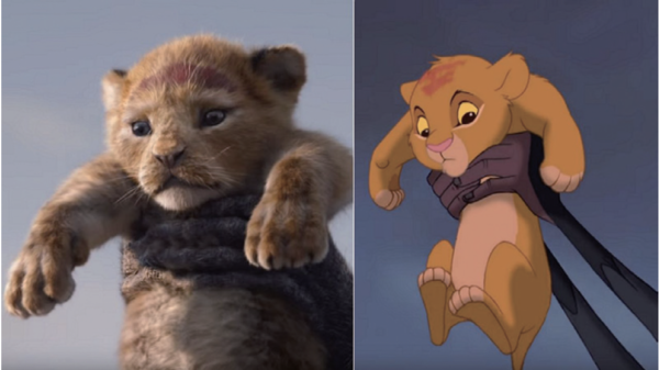 디즈니의 라이온킹 애니메이션(1994년)과 실사영화(2019년작)비교 ⓒ각 사