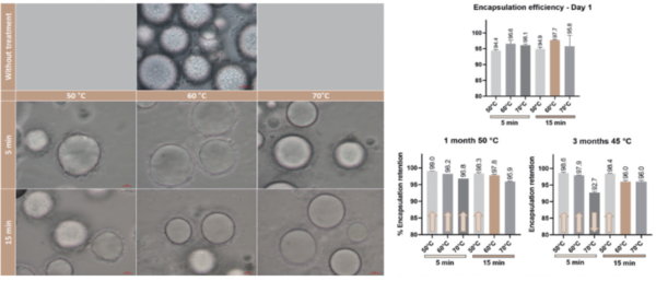 그림 5. OSA-modified quinoa starch의 thermal treatment와 Encapsulation efficienc