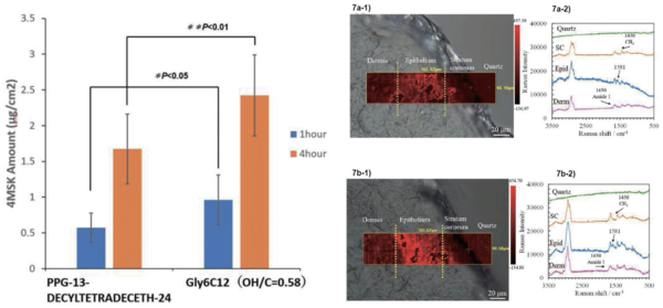 그림 9. Polyglycerol fatty acid ester(Gly6C12)의 in vivo 피부 흡수 성능 증진