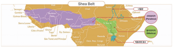 그림 1. Shea Belt와 Shea 나무 품종에 따른 분포지역