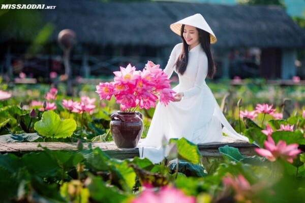 그림 7. 아오자이를 입고 흰색이나 분홍색 연꽃 가지를 들고 있는 베트남 여성 ⒸMissaodai.net