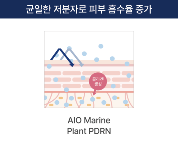 AIO Marine Plant PDRN은 균일하고 작은 분자량으로도 진피층에 흡수되어 콜라겐 생성을 도와주고 피부 속 구조물을 탄탄하게 만들어 탄력을 증가하는 데 도움을 준다.