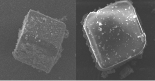 그림 1. SEM Image of γ-CD MOF(사진 왼쪽), γ-CD MOF(NMN) ⓒH&A파마켐